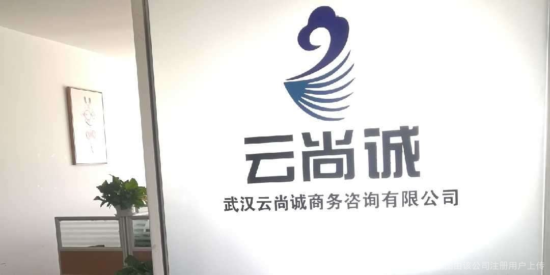 云尚诚商务咨询 以专业力量，成为企业成长道路上的战略伙伴